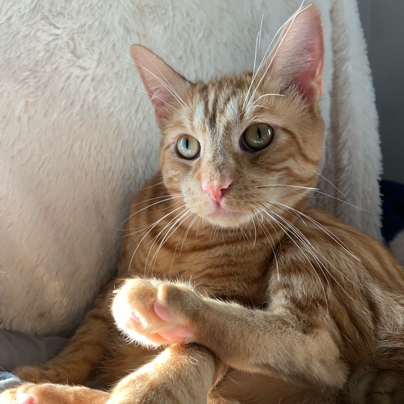 Meet My Family ๐จโ๐ฉโ๐ฆโ๐ฆโค๏ธ - Picture 5 of 8